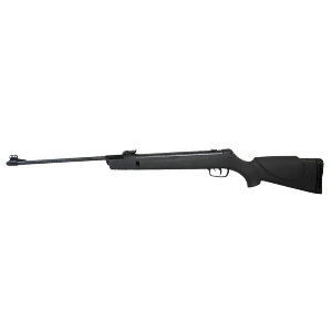 CARABINA GAMO BIG CAT 1000-E IGT POLIMERO 5.5MM